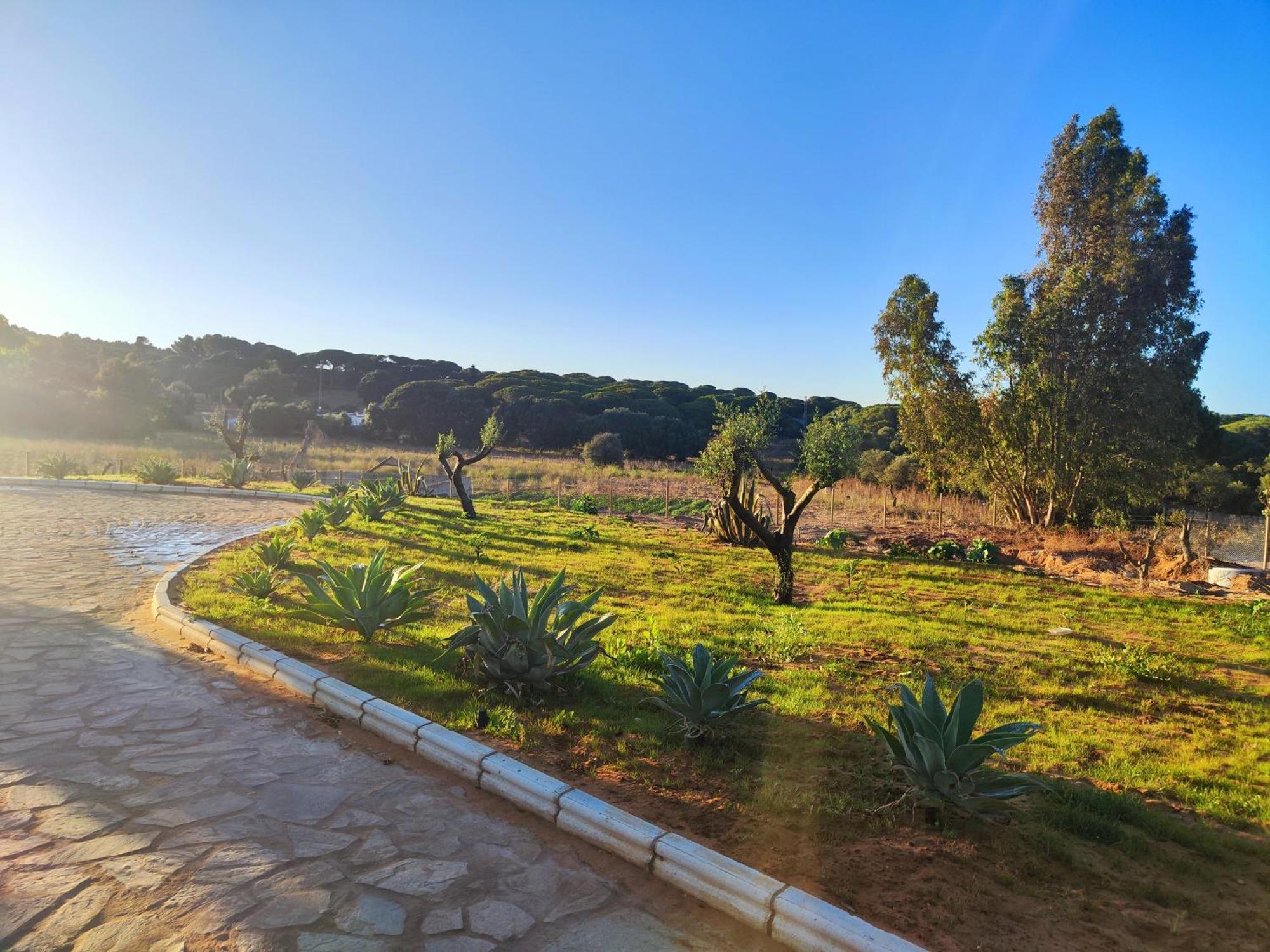 Hacienda La Yerbabuena Villa Cadiz Ngoại thất bức ảnh