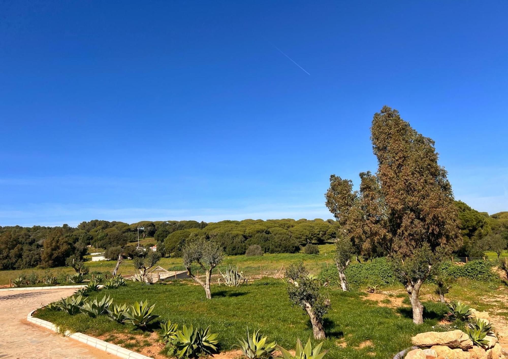 Hacienda La Yerbabuena Villa Cadiz Ngoại thất bức ảnh
